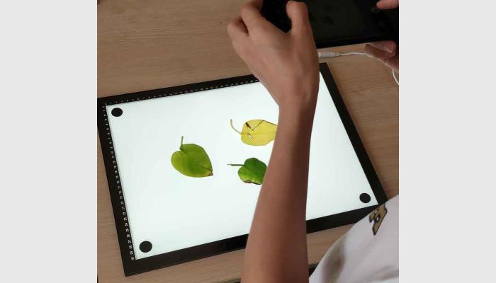 LA-M增強(qiáng)版手機(jī)版葉面積分析儀系統(tǒng)，葉面積儀，葉面積測(cè)量?jī)x，葉面積測(cè)定儀，便攜式葉面積儀,活體葉面積測(cè)量?jī)x。用于快速便捷地在野外分析測(cè)量原位的植物葉面積等。