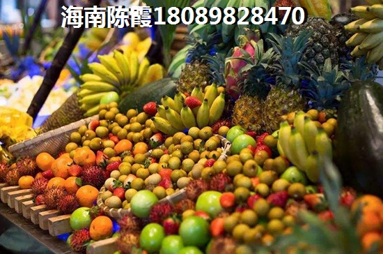 樂東福樂多花園紙得買嗎？1