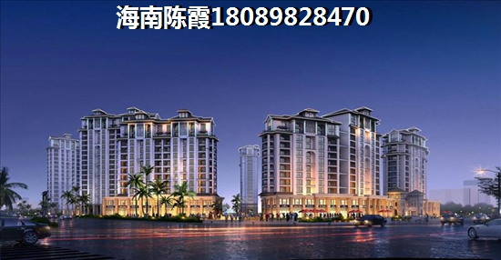 海南東站國際商業廣場的生紙潛力究竟如何？2025年海景房的房價又將何去何從？